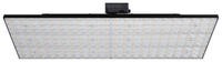 Paulmann ProRail3 LED Panel Deck 7000lm 75W 4000K 230V Schwarz 96583