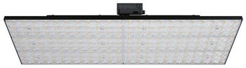 Paulmann ProRail3 Panel Kratos in Schwarz 75W 7000lm 4000K schwarz (96583)