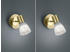 Trio 2er Set LED Wandstrahler Messing mit Glas Lampenschirm für Wohnzimmer & Flur