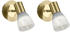 Trio 2er Set LED Wandstrahler Messing mit Glas Lampenschirm für Wohnzimmer & Flur