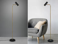 Meinewunschleuchte - Led Stehlampe In Messing & Schwarz Matt, Spot Schwenkbar,...