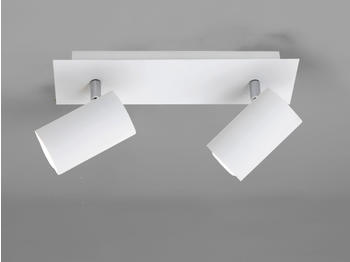 Meine Wunschleuchte Schwenkbarer Deckenstrahler mit 2 dimmbaren LEDs - Spotleuchte für Innen in Weiß