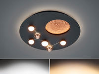 TRIO Leuchten LED Deckenleuchte "ZODIAC, Deckenlampe Mond Sterne, indirektes...