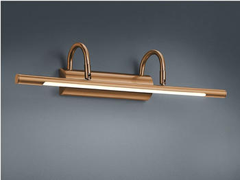 Trio TRIO Bilderleuchte mit SMD LED in Altmessing - edle Optik - Bilder Wandleuchte