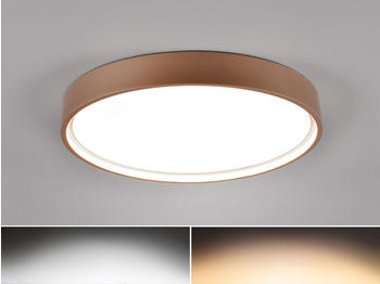 Trio LED Deckenleuchte Coffee matt, Ø 45cm