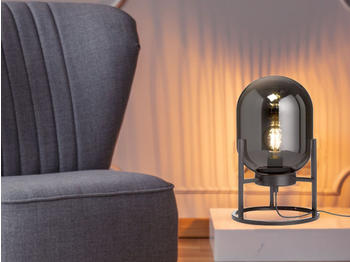 Meine Wunschleuchte LED Tischlampe Industrial Design mit Rauchglas - ausgefallene Nachttischlampe