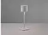 Trio Tischleuchte FERNANDEZ 38cm Grau