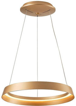 Steinhauer LED-HÃ¤ngelampe RINGLUX Ø 60cm (3692GO)