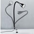 B.K.Licht BKL1079-SEC-D