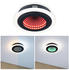 Paulmann 71037 Spaceglow LED-Deckenleuchte 14W Schwarz (matt)