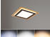 Trio Flache Deckenleuchte MORGAN mit Fernbedienung Schwarz Gold 45x45cm