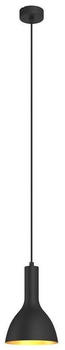 Arcchio Cosmina 1 Pendelleuchte Black/Gold (9626167)