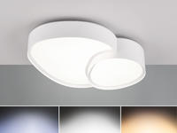 TRIO Leuchten LED Deckenleuchte "RISE, LED Deckenlampe 21W 2400 Lumen warmwei&szlig; bis