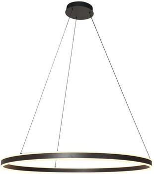 Steinhauer LED-Pendelleuchte RINGLUX, 100mm, höhenverstellbar (3676ZW)