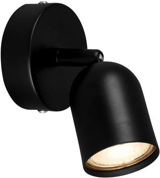 Briloner 2145015