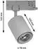 Paulmann ProRail3 LED Spot Kratos in Silber 9W 1000lm 3000K 36° silber