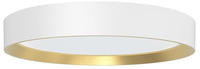 Philips 8720169301375 Hanno LED-Deckenleuchte LED 24W Wei&szlig;, Gold