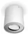 Philips Hue Pillar Single Spotlight - White - No Dimmer Switch