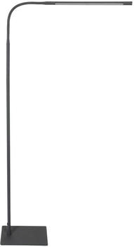 Mexlite LED Stehleuchte Serpent Schwarz 6W 600lm schwarz