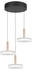 Trio LED-Pendelleuchte Celeste 3flg coffee/weiß