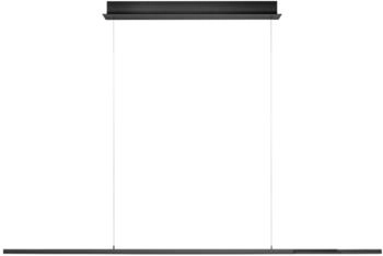 HELL LED-Pendelleuchte Ole 200x150 cm Anthrazit