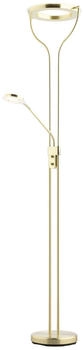 casa NOVA SEATTLE LED-Fluter Dimmbar 2-flammig Messingfarben Metall H 180 cm