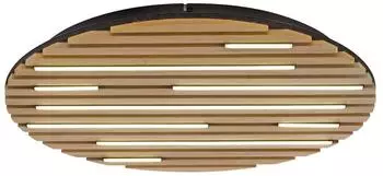 Paul Neuhaus AKUSTIK Deckenlampe (6421-79)