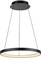 Paul Neuhaus Pendelleuchte "HOOP" LED-Board 1 Stk. Warmwei&szlig; LED, dimmbar, Simply