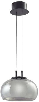Lucande LED Pendelleuchte 'Dain' (Modern) in Alu aus Glas (1 flammig, ) - Hängel