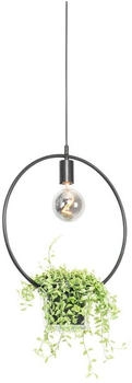 QAZQA Moderne Hängelampe I Pendellampe I Pendelleuchte schwarz mit Glas rund - Roslini I Wohnzimmer I Schlafzimmer - Stahl Rund - LED geeignet E27 (104753)