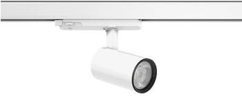 RZB Leuchten Wandleuchte + Deckenleuchte, LED-Strahler (742298.002)