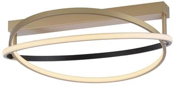 Paul Neuhaus Q Smarthome Deckenleuchte Q-BELUGA Silber (6739-55)