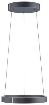 Paul Neuhaus LED-Pendelleuchte PURE E-CLIPSE, e-LIFT CCT dimmbar ⌀ 50cm (2560-15)