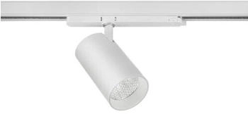 Brumberg 88724174 LED-Schienenstrahler