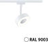 Paulmann Wandleuchte + Deckenleuchte URail Spot Circle (430 lm) (95703)