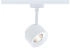 Paulmann Wandleuchte + Deckenleuchte URail Spot Pane (650 lm) (94893)