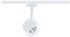Paulmann Wandleuchte + Deckenleuchte URail Spot Pane (650 lm) (94893)
