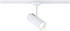 Paulmann Wandleuchte + Deckenleuchte URail Spot Theron (2010 lm) (95698)