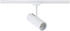 Paulmann Wandleuchte + Deckenleuchte URail Spot Theron (2010 lm) (95698)