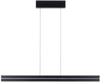 Paulmann LED Pendelleuchte "Raiko RGBW+ 2300lm / 370lm 19W / 6W Schwarz" LED-Modul 1