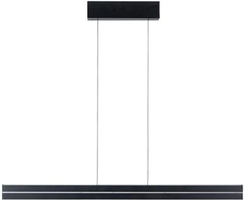 Paulmann Pendelleuchte Raiko (2670 lm) (78474)