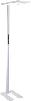 Luxula (LX700193) white