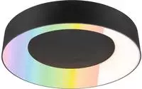Paulmann Deckenleuchte "Casca" LED-Modul 1 Stk. Tageslichtwei&szlig; dimmbar