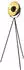 Searchlight Blink Stehlampe Stahl Schwarz Chrom 1-flammig E27 (EU8022BK)