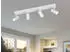 Trio TARYN Deckenspot 4-flammig weiß (R86854031)