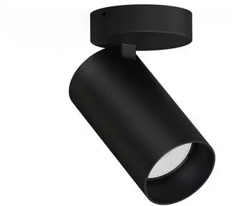 Licht-Erlebnisse MONO I Aufbau-Spotreflektor Schwarz GU10 (7838)