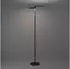 Eglo Castelpoto 1 LED-Stehleuchte dimmbar CCT 16W+12W schwarz (901974)