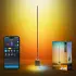 Govee Floor Lamp 3