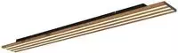 GLOBO LIGHTING Deckenleuchte "HAYDEN" LED-Modul 1 Stk. Schwarze LED-Deckenleuchte,