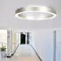 Steinhauer LED Deckenleuchte Ringlux Ø 40 cm silber/stahlgrau